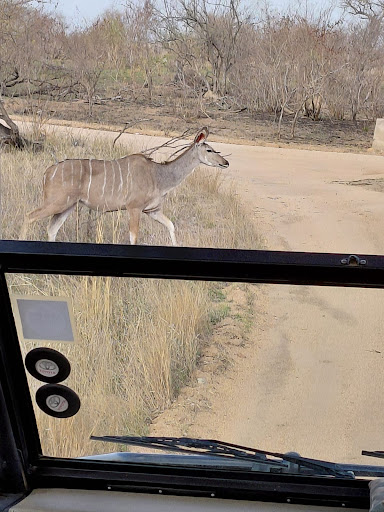 Photo from customer review