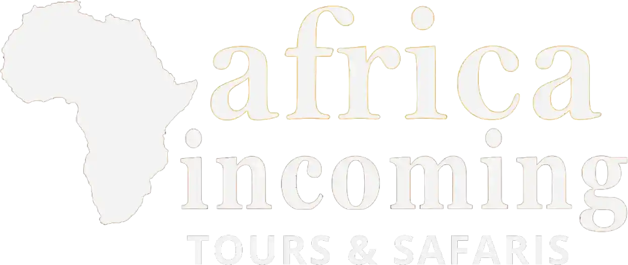 africa-incoming-logo-1_11zon