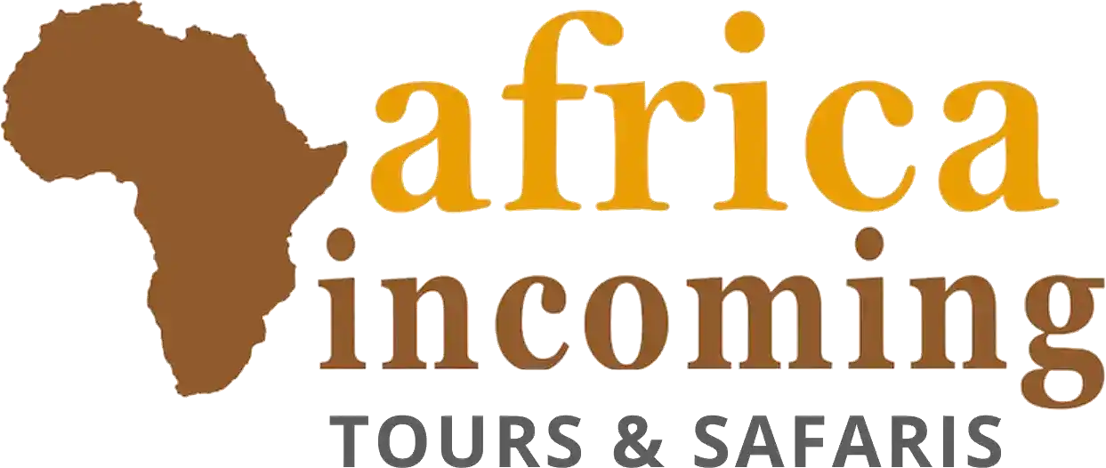 africa-incoming-logo_11zon